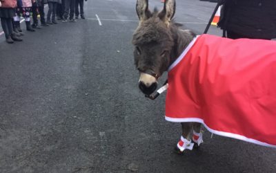 Read more about Teddy’s visit to Year 4 made our day!