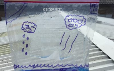 Read more about Year 5- Water cycle