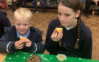 Read more about Macmillan Coffee Morning & Reception Buddies