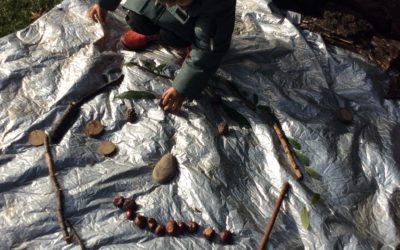Read more about Exploring Forest school in the EYFS.