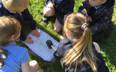 Read more about Year 1 Forest School