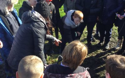 Read more about Forest School for Year 5