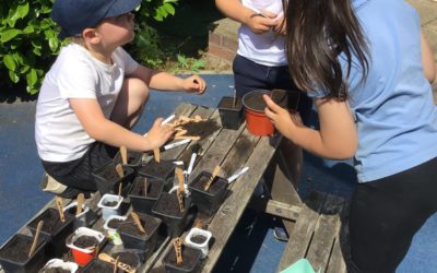 Read more about Planting sessions using recycled materials in Reception and Year 1