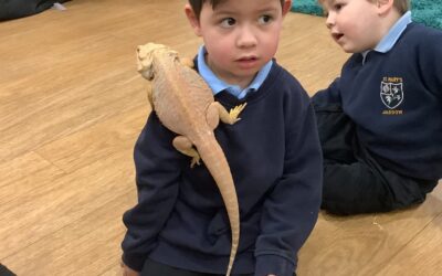 Read more about Emma’s exotic animals visit St. Mary’s EYFS.